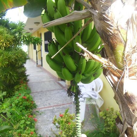 Residencial El Mirador Lejlighedshotel Boca Chica Eksteriør billede